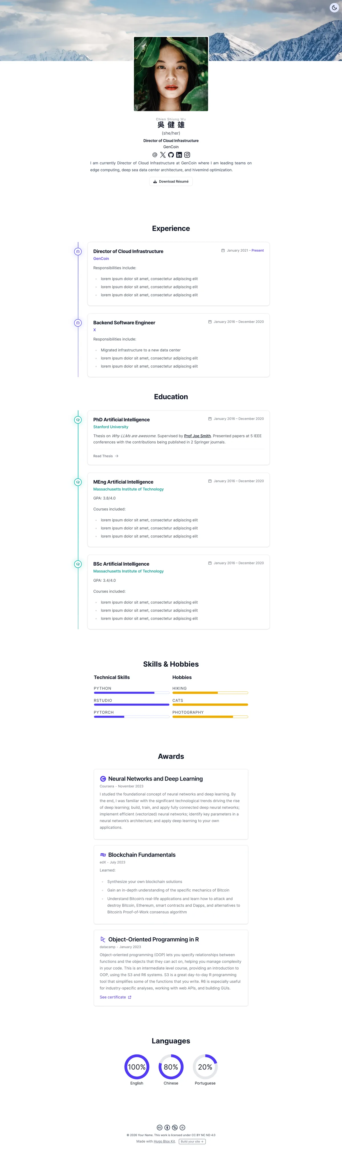 Online Resume template preview